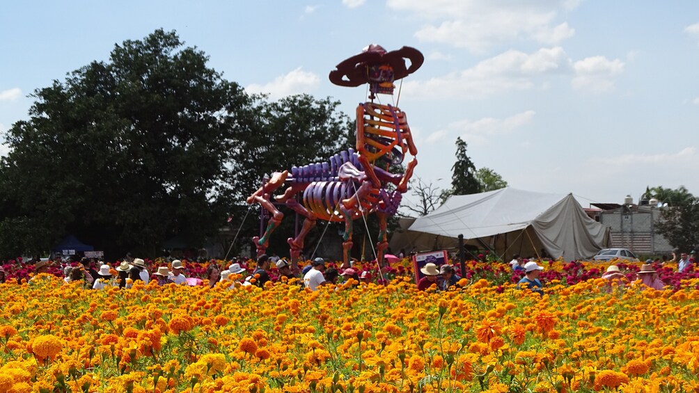 Una gran escultura de esqueleto en un campo de cempasúchil. 1
