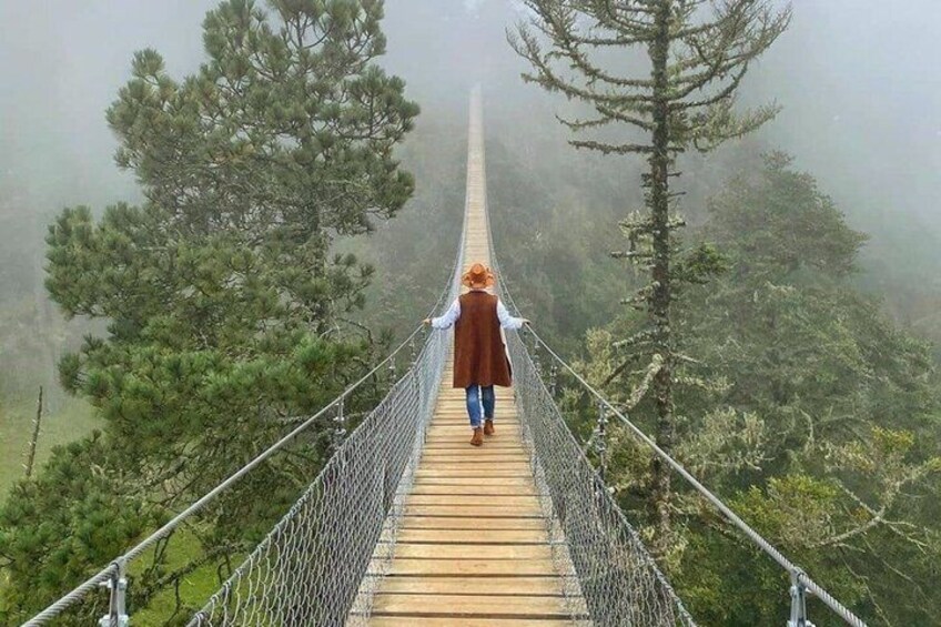 A person walking on a suspension bridge surrounded by trees. 4