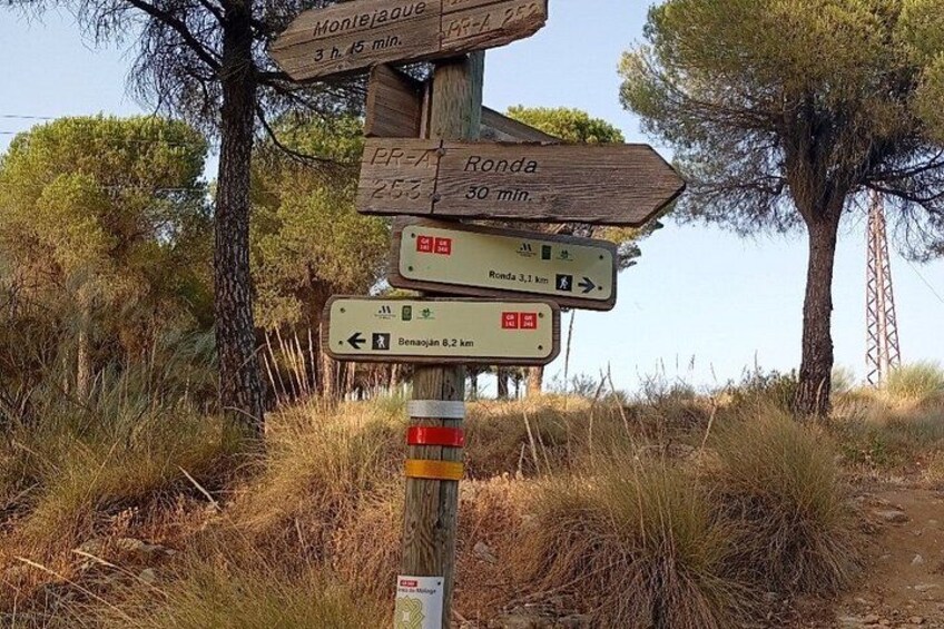 A wooden directional signpost with multiple arrows pointing to various destinations. 3