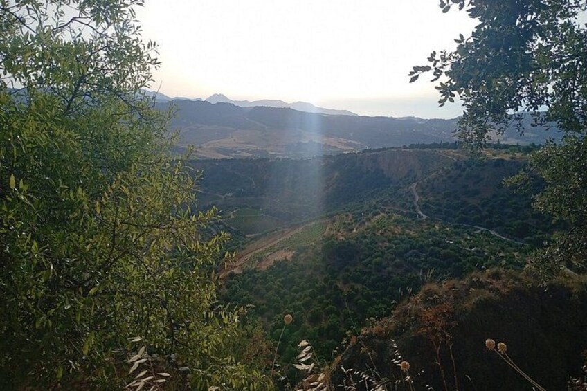 A valley with a road, trees, and distant mountains. 5
