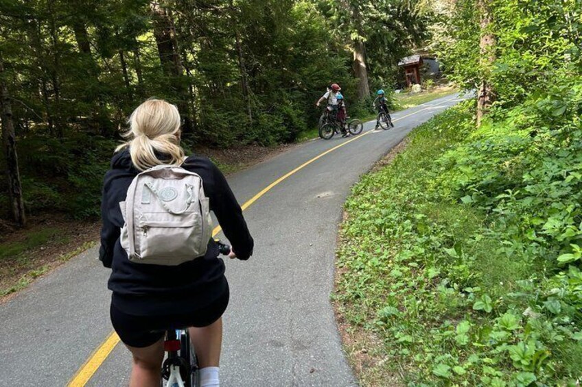 Whistler E-Bike Brewery Tour with Local Craft Beer and Views 5