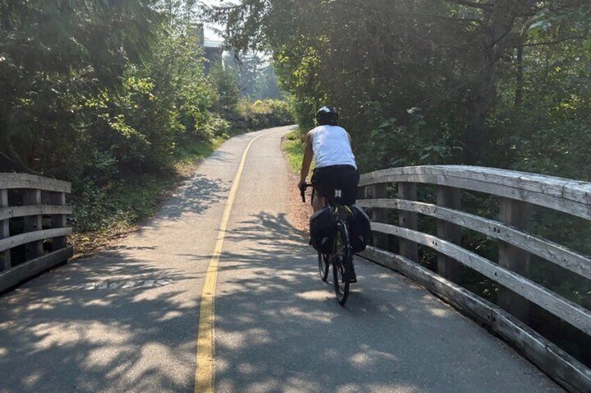 Whistler E-Bike Brewery Tour with Local Craft Beer and Views 3