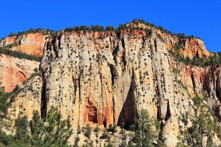 Self Guided Zion Scenic Byway Driving Tour with GPS Narration App 4