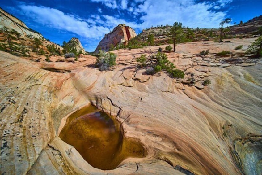 Self Guided Zion Scenic Byway Driving Tour with GPS Narration App 2