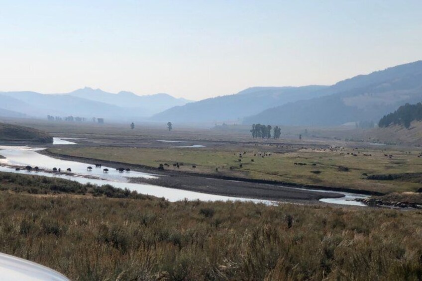 A river winding through a grassy landscape with distant mountains. 3