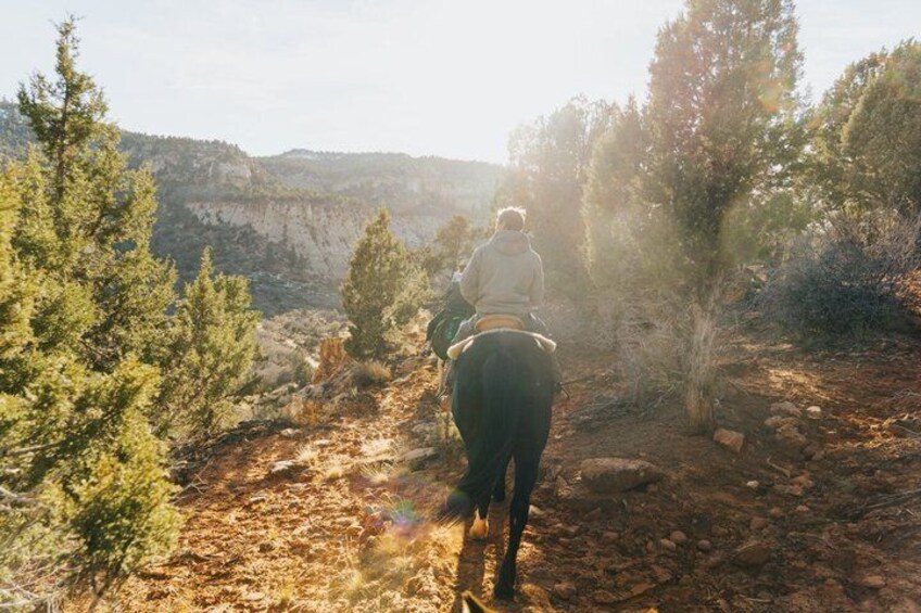 Guided Mustang Mountain Ride near Zion National Park 4