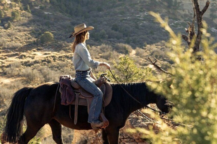 Guided Mustang Mountain Ride near Zion National Park 5