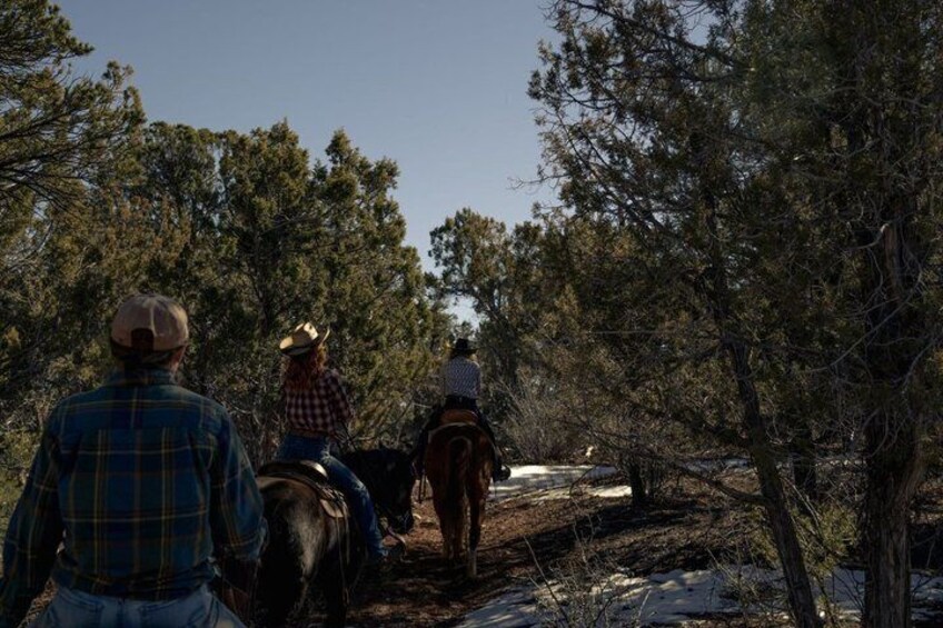 Three people riding horses on a dirt path surrounded by trees. 2