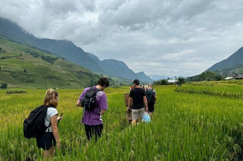 Sapa Half Day Trekking Y Linh Ho with Lao Chai and Ta Van 3