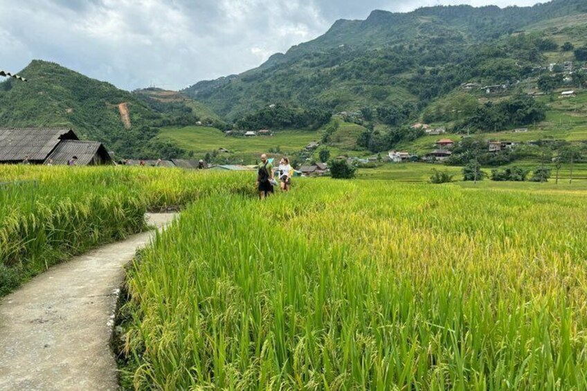 Sapa Half Day Trekking Y Linh Ho with Lao Chai and Ta Van 4