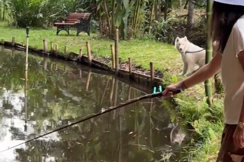Private Fishing Experience in Colombia Coffee Region 3