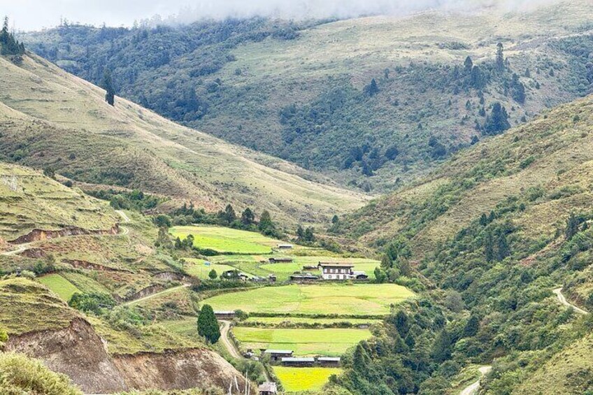 A hilly landscape with terraced fields, a building, and a winding road. 4