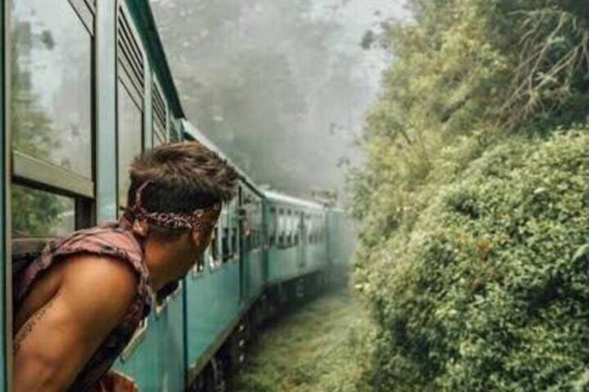 A train traveling through a forested area with dense greenery on the sides. 3