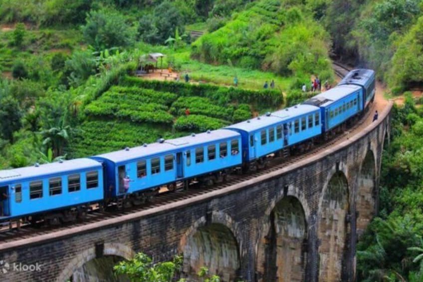 A blue train on a bridge surrounded by lush greenery. 2