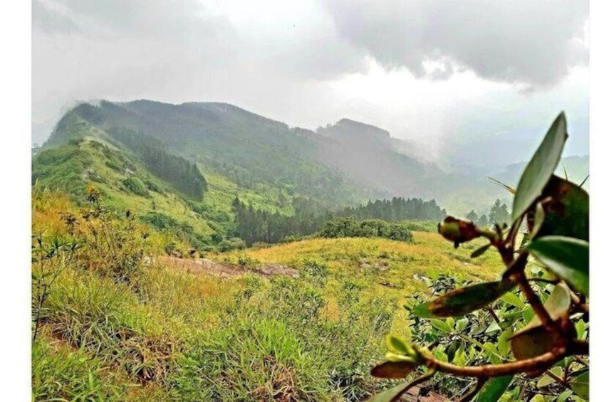 Kandy Nuwaraeliya Tour and Ella Train Journey from Nanuoya 4