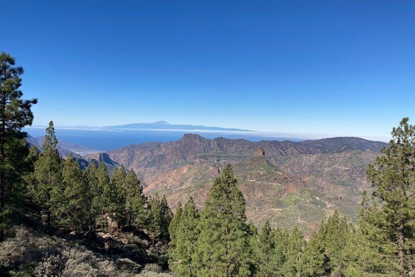 A mountainous landscape with dense pine forests and a clear blue sky. 2