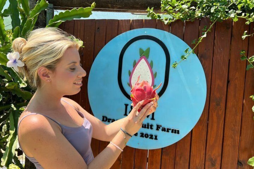 A person holding a dragon fruit in front of a wooden fence with a circular sign that reads 'Dragon Fruit Farm 2021'. 3