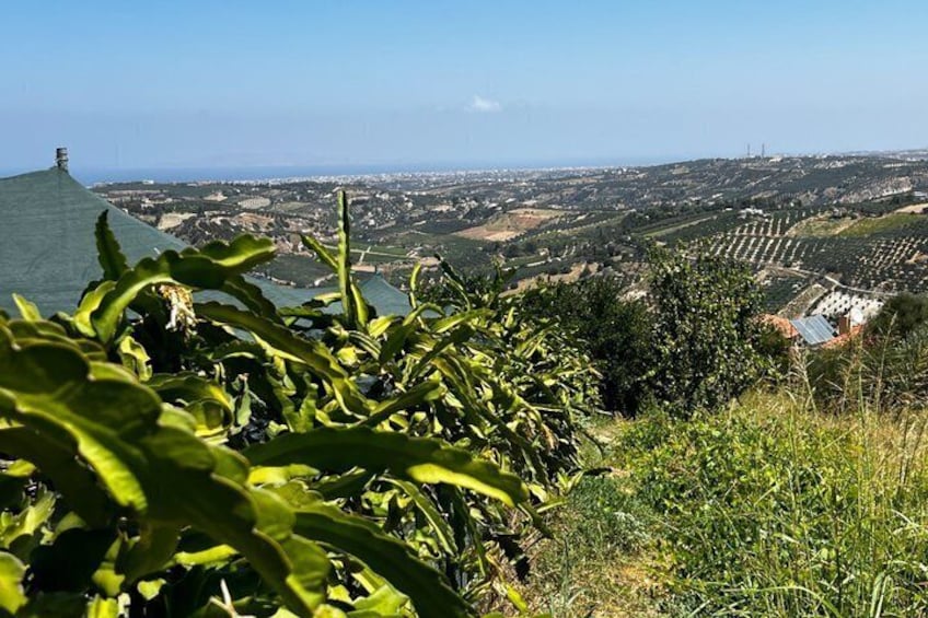A landscape with a view of a valley, green vegetation, and distant buildings. 2