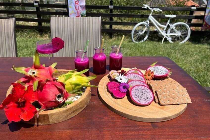 Dragon Fruit Farm Experience in Crete 2