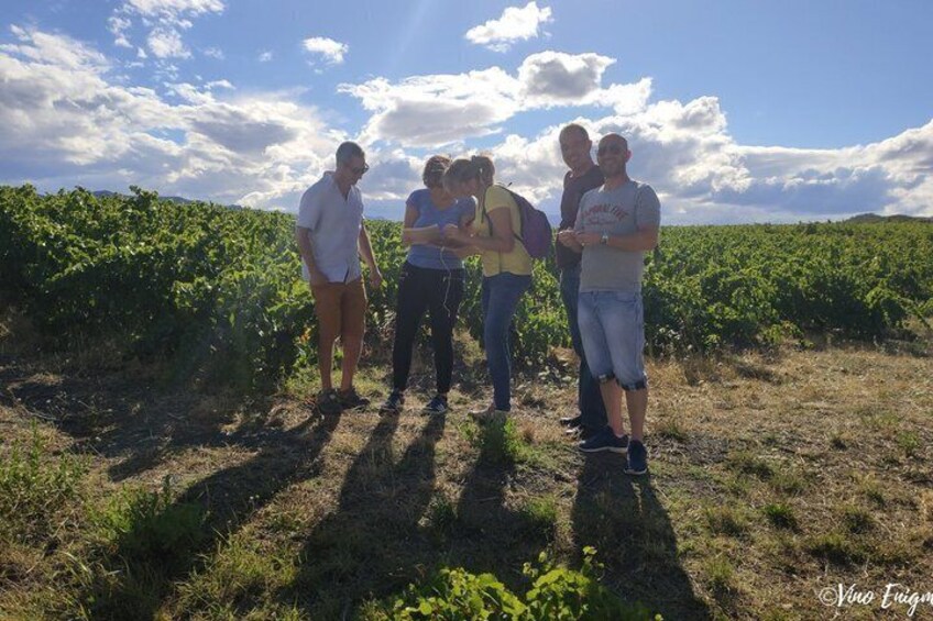 Escape Game in the vineyards 1