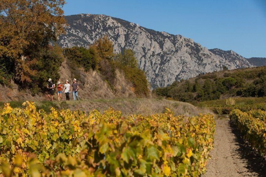 Escape Game in the vineyards 5