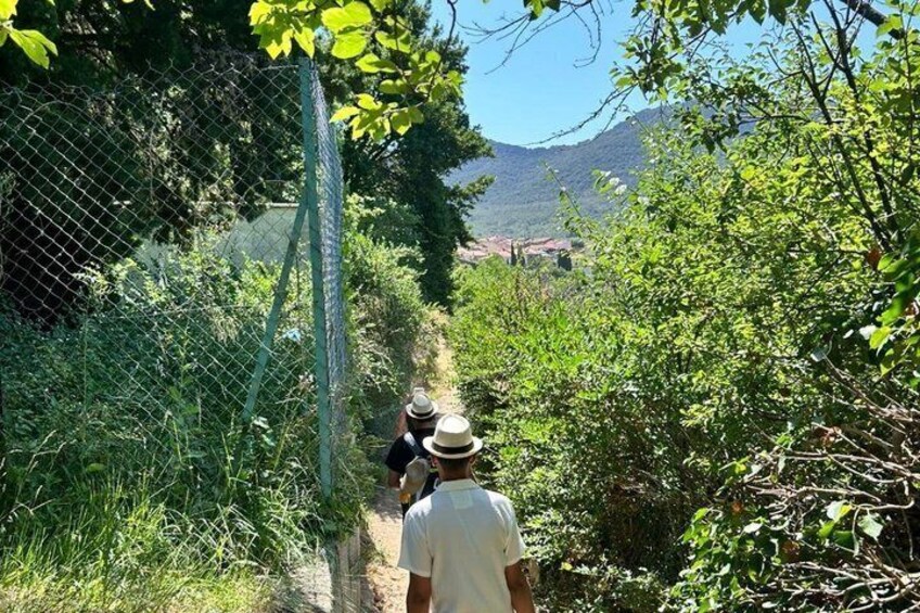 Escape Game in the vineyards 2