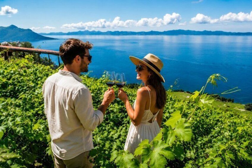 Private Peljesac Wine Tour and Ston from Dubrovnik 1