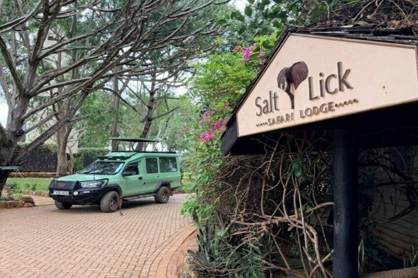 Tsavo East Ngutuni and Salt Lick Safari Tour 3