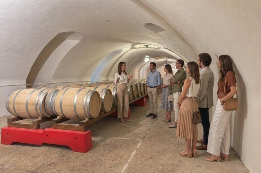 Historic Cellar Tour and Amarone Tasting in Valpolicella 4