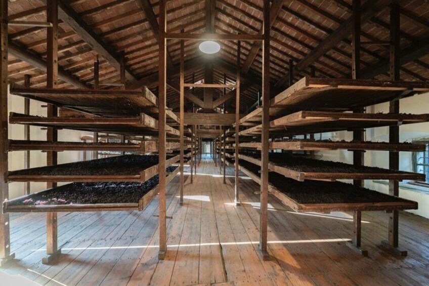 Historic Cellar Tour and Amarone Tasting in Valpolicella 1