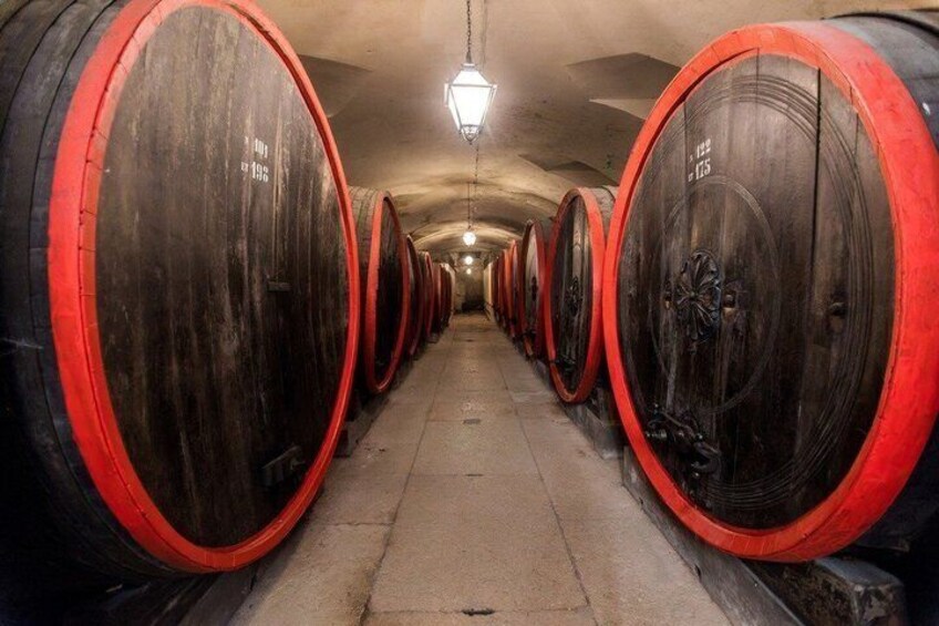 Historic Cellar Tour and Amarone Tasting in Valpolicella 5