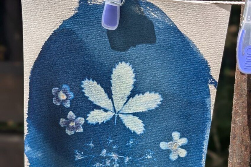 Cyanotype Nature Experience 2