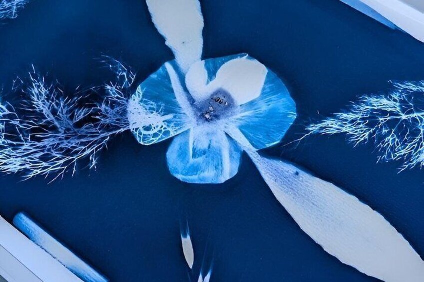 Cyanotype Nature Experience 5