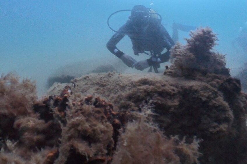 Diving Christening in Barcelona Small Group 3