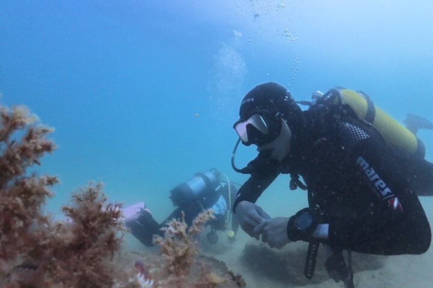 Diving Christening in Barcelona Small Group 1