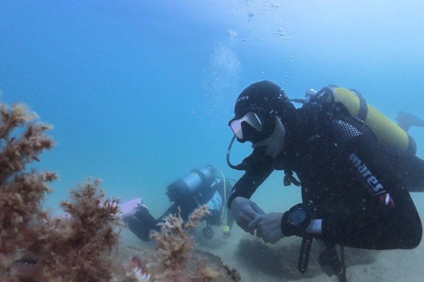 A diver underwater with a camera and a buoyant device. 1