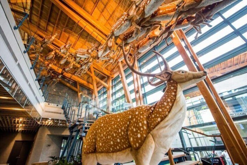 Zuojhen Fossil Park Fossil Discovery Experience Ticket 5