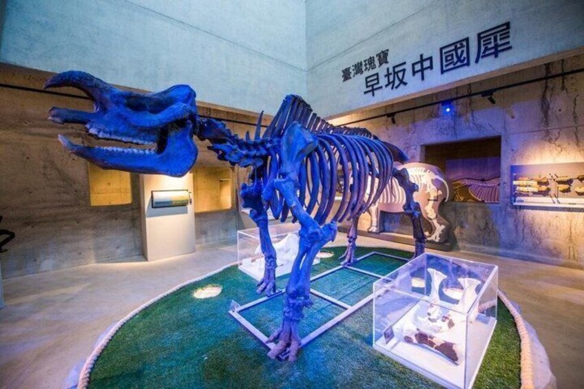 Zuojhen Fossil Park Fossil Discovery Experience Ticket 3
