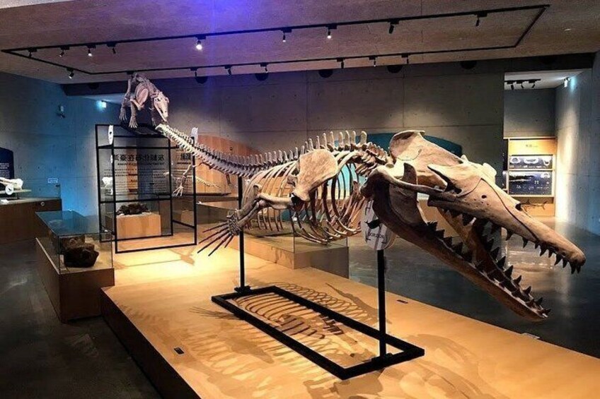 Zuojhen Fossil Park Fossil Discovery Experience Ticket 1