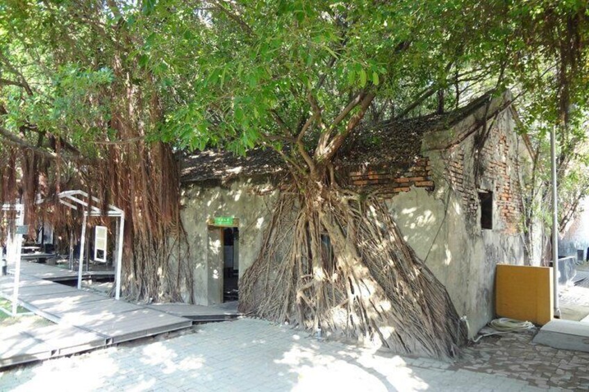 Anping Tree House Historic Site Admission Ticket Tainan 1