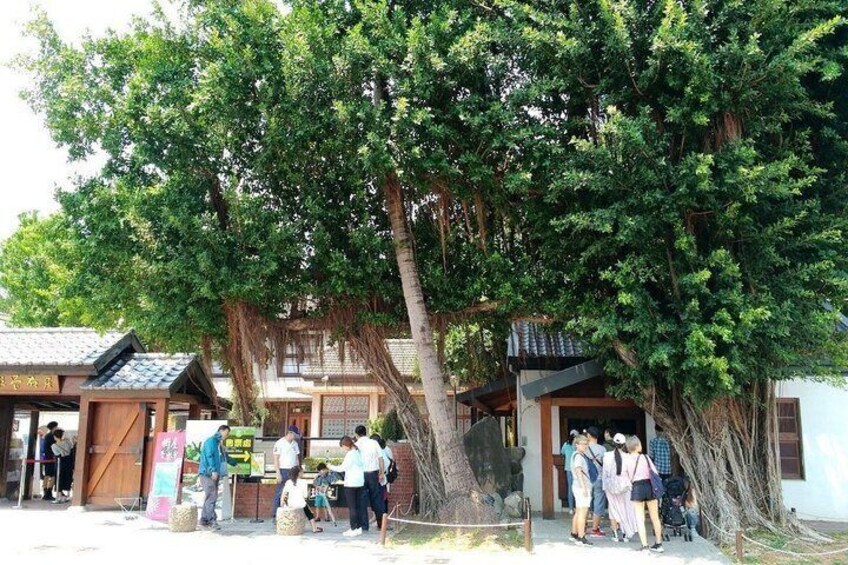 Anping Tree House Historic Site Admission Ticket Tainan 3