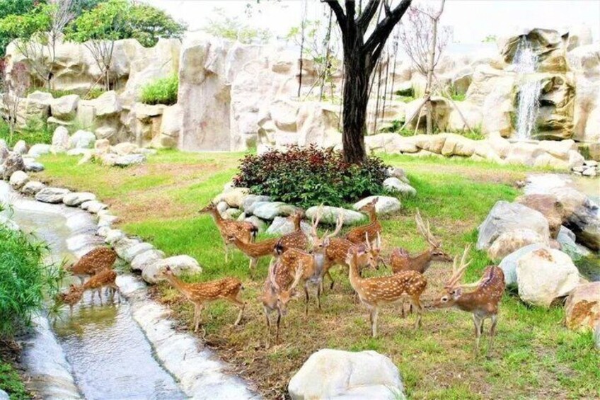 Wanpi World Wildlife Experience Ticket Tainan 1