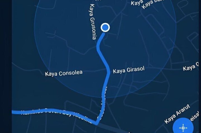 A map with a highlighted route and location names like Kaya Grusoria, Kaya Girasol, and Kaya Consolea. 4
