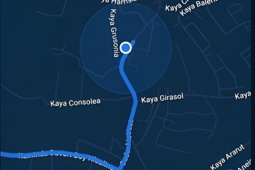 A map with a river and surrounding areas labeled as Kaya Grusonia, Kaya Girasol, and Kaya Consolea. 3