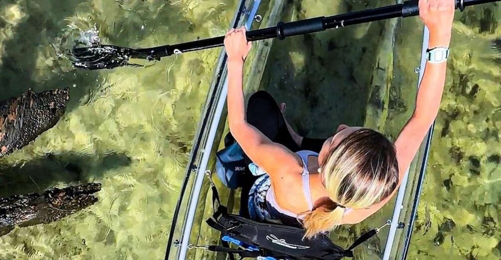 Picture 5 for Activity Destin: Clear Kayak Eco Tour with Island Stops 3
