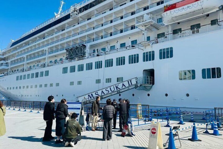 Shimizu Port Pickup: Mt. Fuji & Miho no Matsubara Tour 2