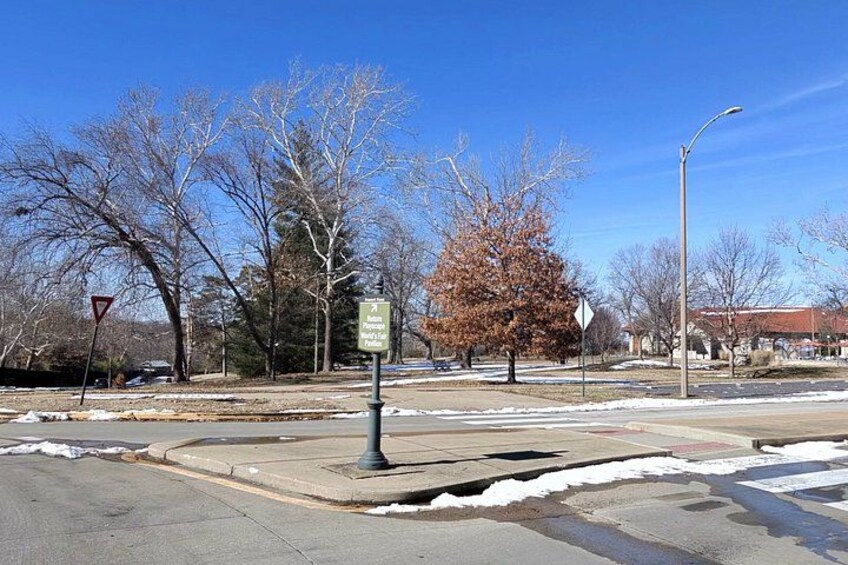 A street with a traffic island, a pedestrian crossing sign, and leafless trees. 3