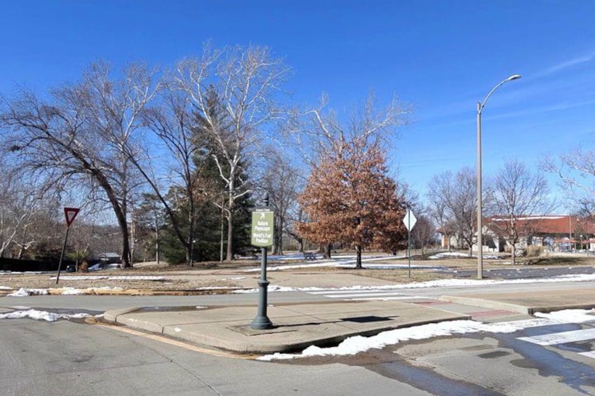 A street intersection with a pedestrian crossing sign, a traffic signal, and leafless trees. 3
