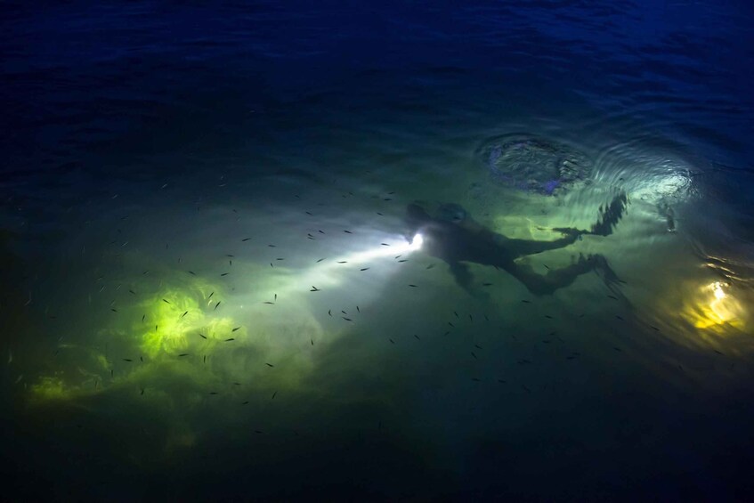 Puerto Rico: Private Night Snorkeling Tour with Pickup 1