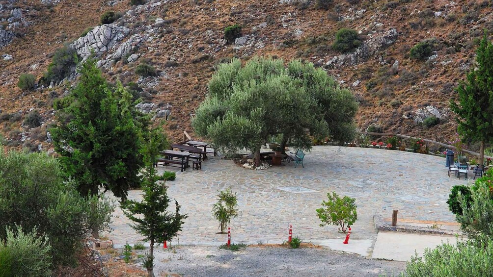 Picture 12 for Activity Plakias Tours: Secrets of the Cretan Countryside 2